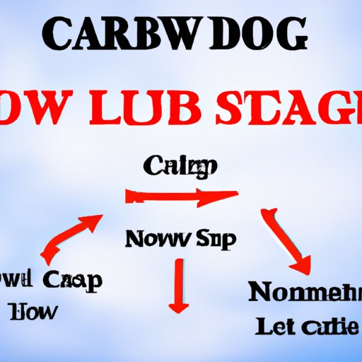 How to Start and Stick to a Low Carb Diet