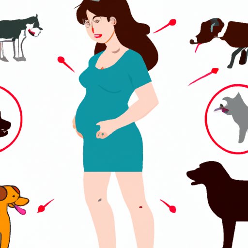 Examining How Different Breeds of Dogs May React to a Pregnant Woman
