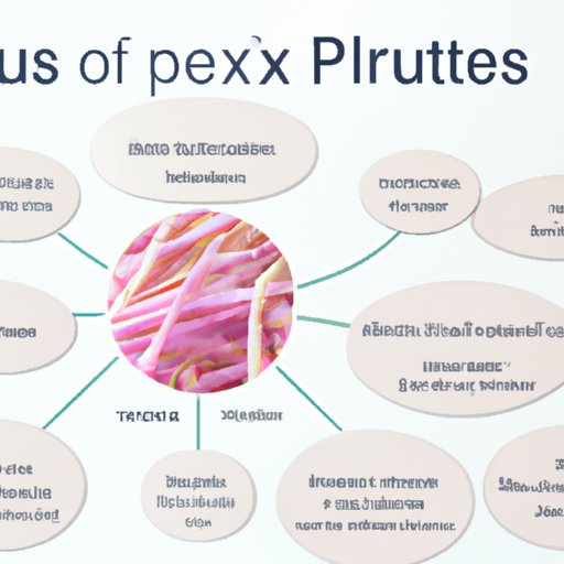 An Overview of Plexus and its Impact on Gut Health