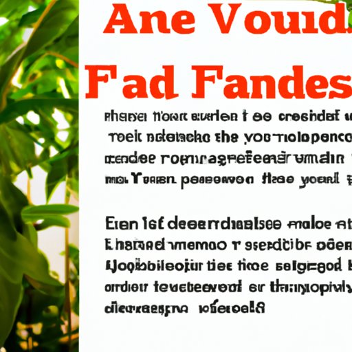 A Guide to Understanding How Taking a Semester Off Can Affect Financial Aid