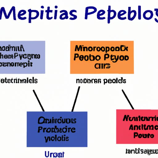 Comparing Different Types of Exercise and Their Impact on Metabolism
