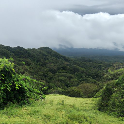 Discovering Monteverde with Don Juan Tours: A Journey to Remember