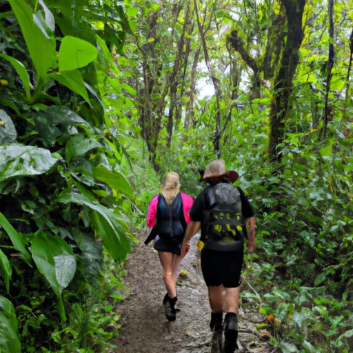 Exploring the Unique Experiences Available with Don Juan Tours Monteverde