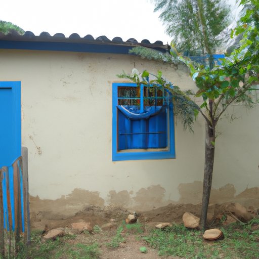 Adapting to the Brazilian Way of Life