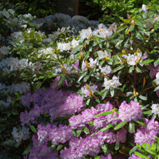 How To Choose The Right Variety Of Rhododendron For Your Garden
