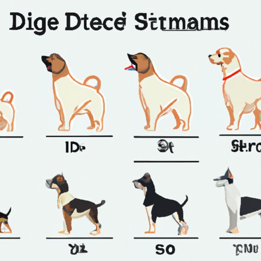 Average Sizes for Popular Breeds
