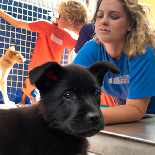 Following Up with the Rescue Organization to Ensure the Adoption Was Successful