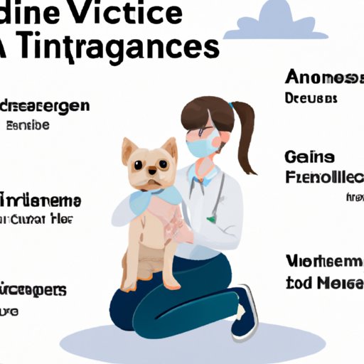 Find a Veterinarian That Can Handle Your Emotional Support Dog