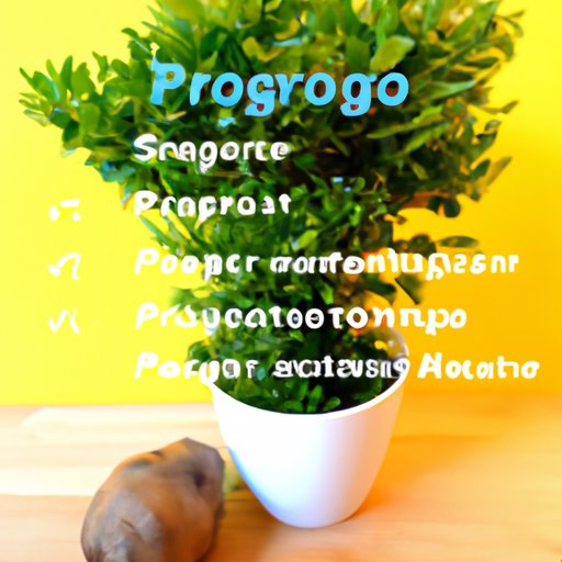 Increase Your Intake of Phytoestrogens