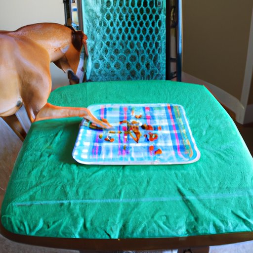 Eliminate treats and table scraps