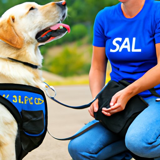 Determining the Need for Professional Assistance in Training a Service Dog