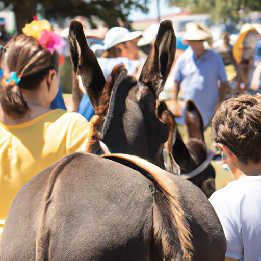 Attend a Mule Festival or Event