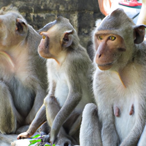 Observe the Behavior of Others