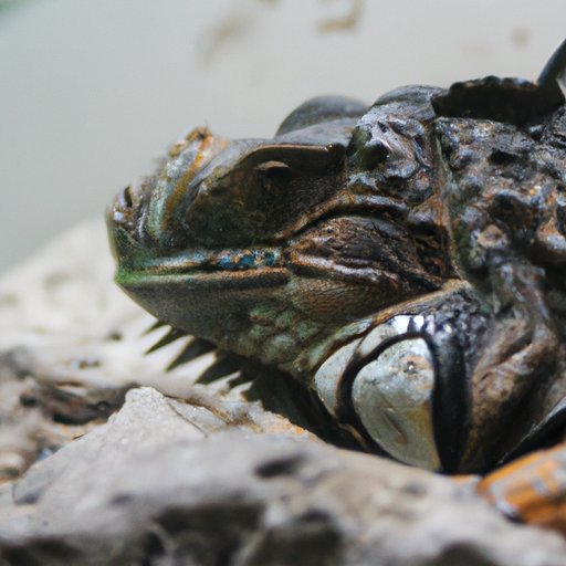 Watch How They React to Your Presence