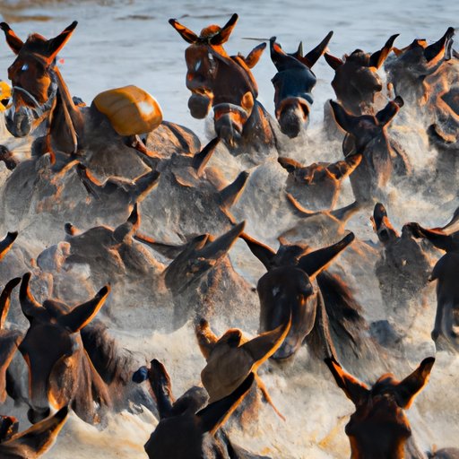 Use a Subscription Service to Watch 2000 Mules