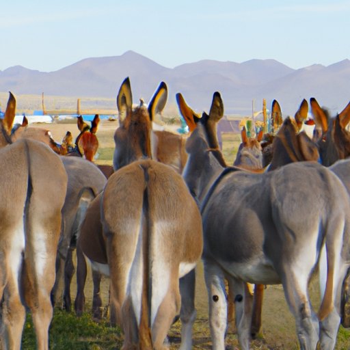 Join an Online Community Dedicated to Watching 2000 Mules