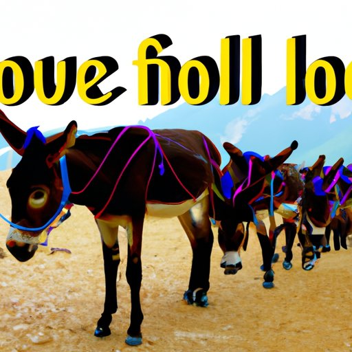 Download 2000 Mules Legally and for Free