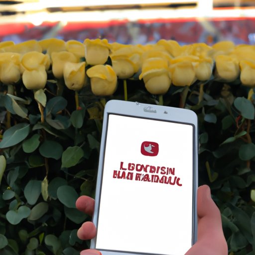 Follow Social Media for Live Updates of the Rose Bowl