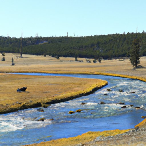 Join a Streaming Service that Offers Yellowstone