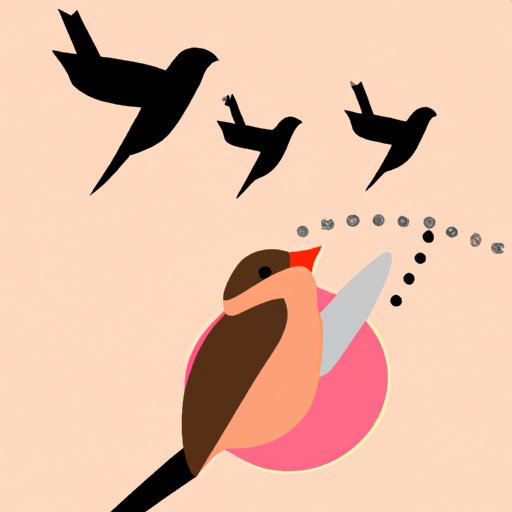 How Finch was Programmed to Operate