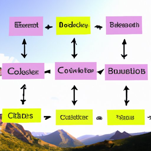 Choose a Business Structure for Your Colorado Business
