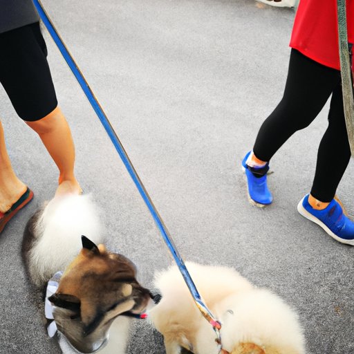 Research the Local Market for Dog Walking Services