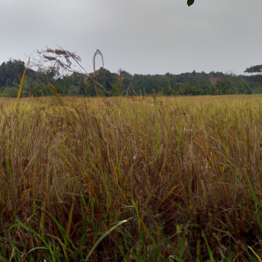 Find Opportunities to Gain Experience in the Field