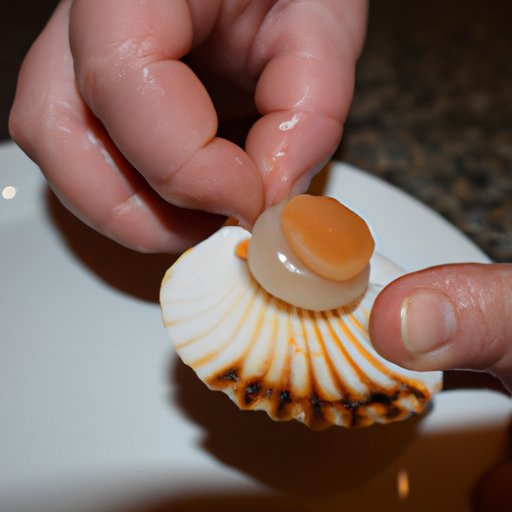Assessing the Texture of a Cooked Scallop