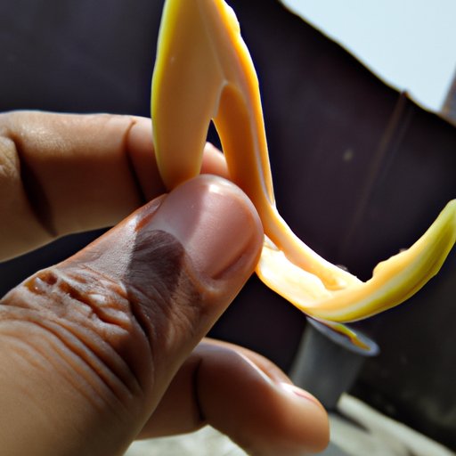 Smell the Stem End of the Mango