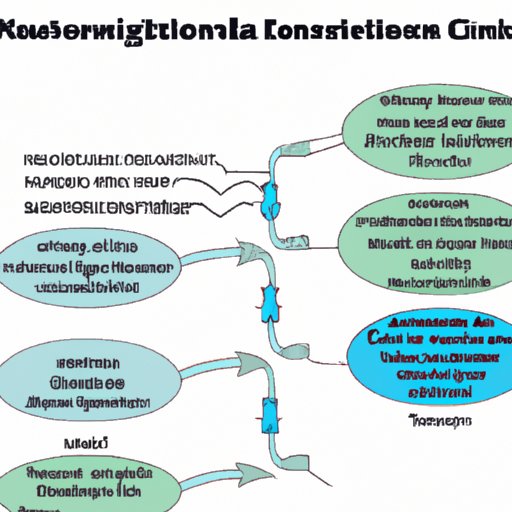 Outlining the Different Methods of Neuronal Communication