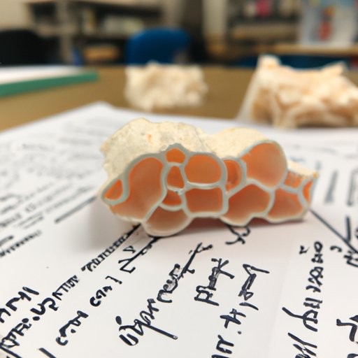 Exploring the Different Forms of Flomax