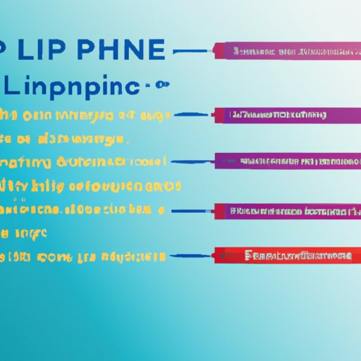 A Comprehensive Guide to How IPL Works