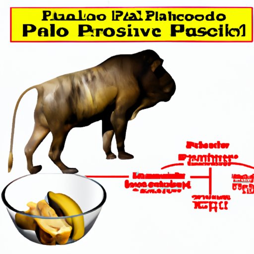 Scientific Evidence Supporting the Paleo Diet