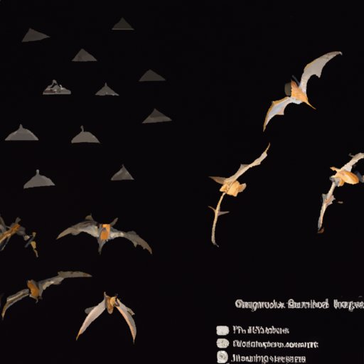 Exploring the Nocturnal Migration Habits of Bats