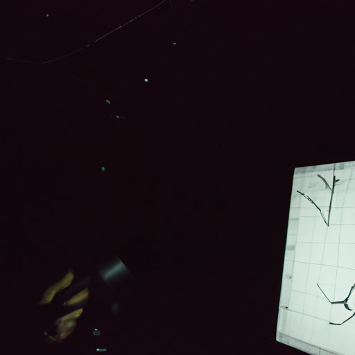 Mapping the Flight Paths of Bats During the Night