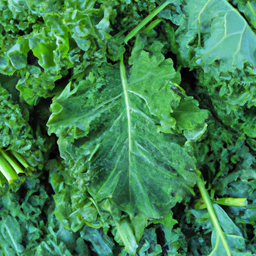 The Health Benefits of Eating Kale Every Day