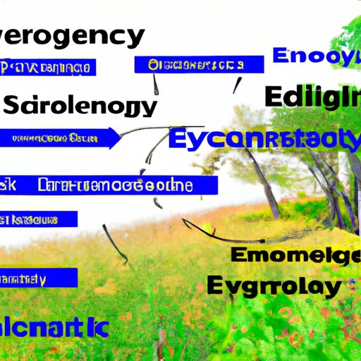An Overview of Environmental Science and Ecology