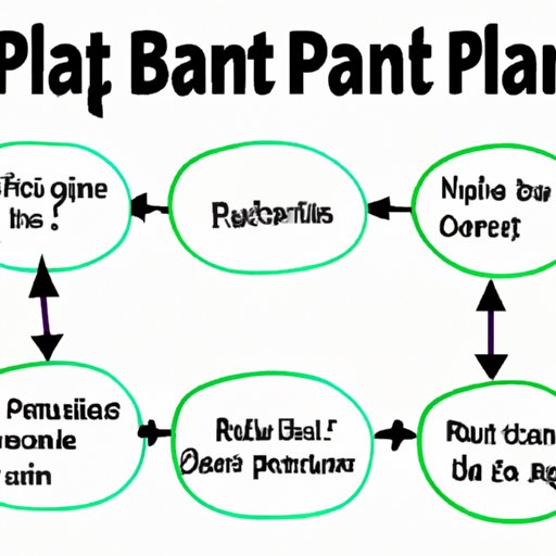 Analyzing the Effectiveness of Plan B in Different Time Frames