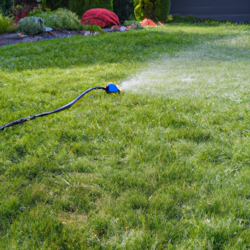 Exploring the Best Practices for Watering After Lawn Treatment