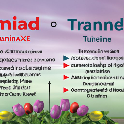 A Comprehensive Guide to Understanding the Interaction between Tramadol and Tizanidine