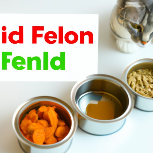 How to Safely Store Wet Cat Food: A Guide for Pet Owners