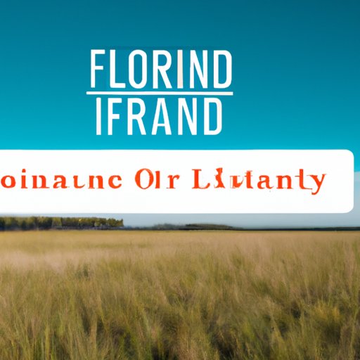 A Guide to Finding the Best Land Financing Options in Florida