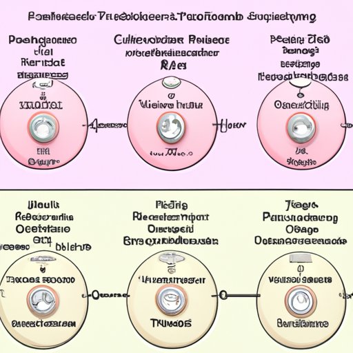 Types of Birth Control and Their Onset Times