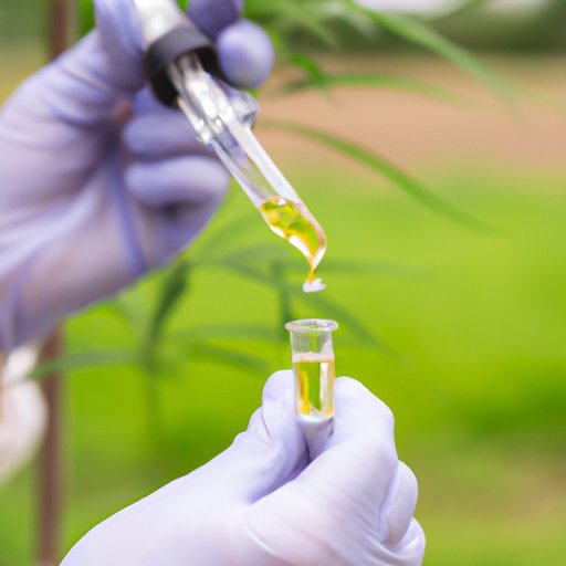 Examining the Onset of Action for CBD Oil