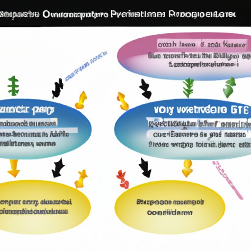 Exploring Factors that Affect the Efficacy of Antidepressants