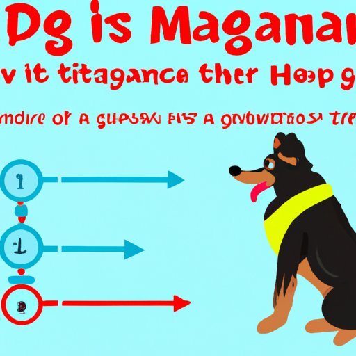 A Guide to Estimating How Long it Takes for a Dog to Become Pregnant