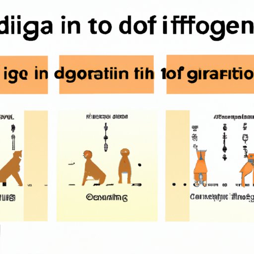 What You Need to Know About the Timeline of Canine Gestation
