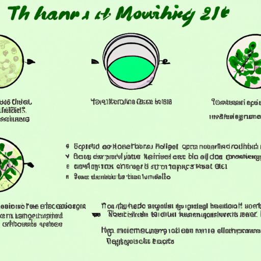 What to Expect When Taking Moringa: Timeframes for Results