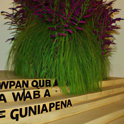 Examining the Steps Needed for VAWA Approval in 2022