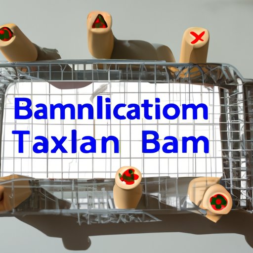 Unpacking the Impact of Travel Bans on the Economy